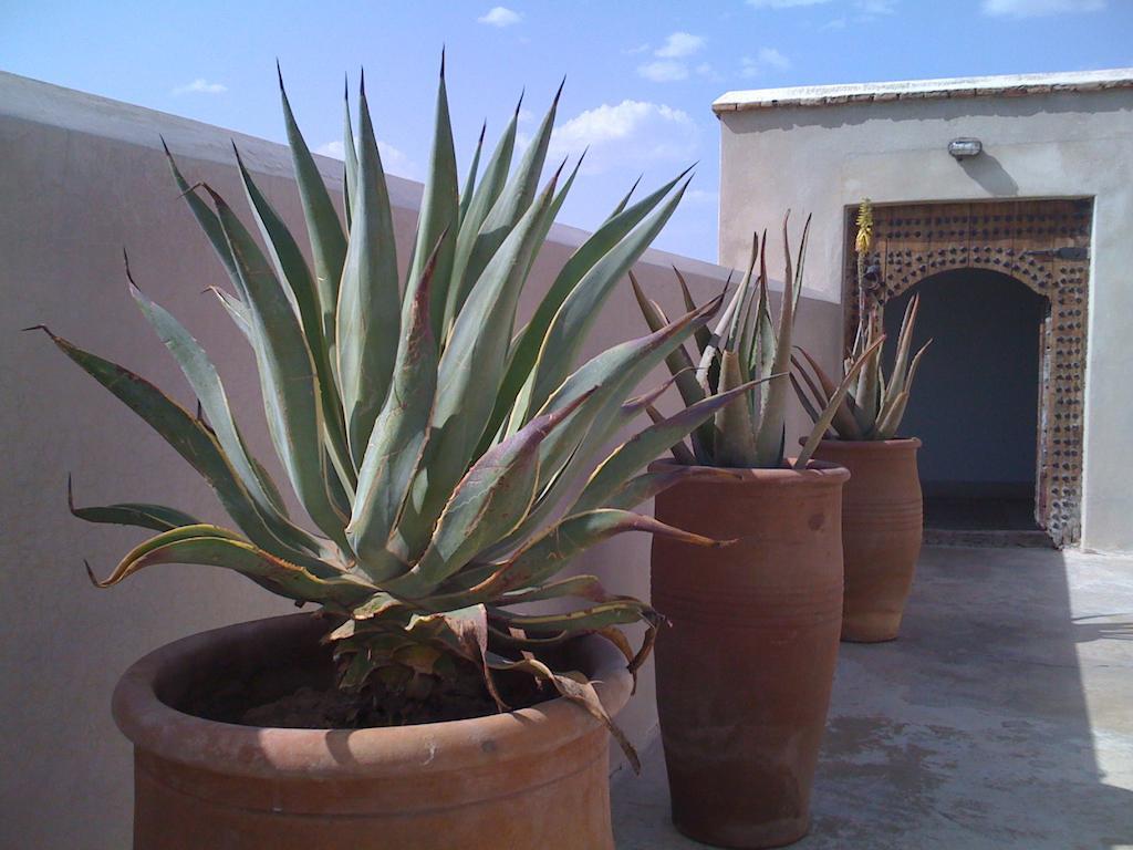 Riad Due Marrakesh Ngoại thất bức ảnh
